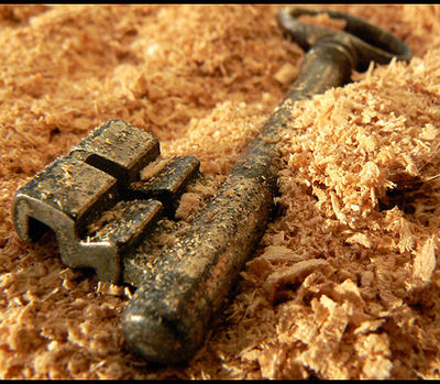 A metal tool sits in a pile of sawdust.