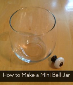 bell jar experiment diy