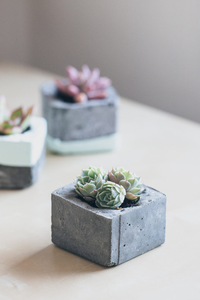 easy-weekend-project-milk-carton-concrete-planters-diy-curbly