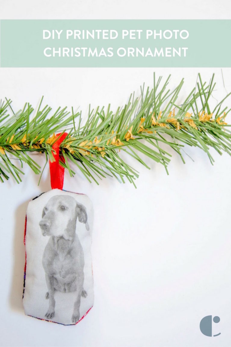 How to: Easy and Adorable DIY Pet Portrait Christmas Ornament - Curbly