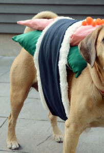 DIY Sushi Halloween Costume For Your Dog - Curbly