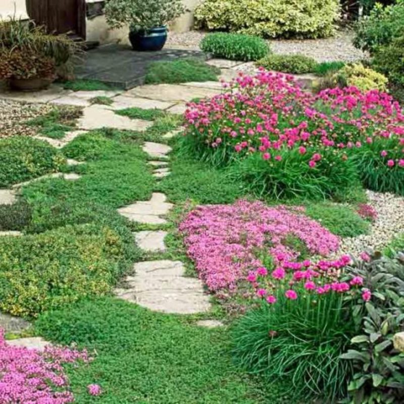 59 DIY Landscaping Ideas to Improve Your Outdoor Space