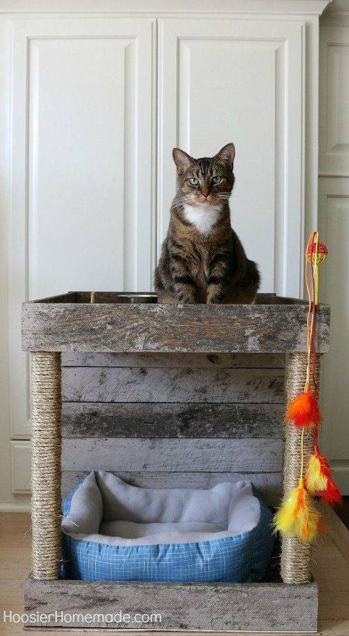 10 DIY Puzzle Cat Feeders You Can Make Today (With Pictures) - Catster