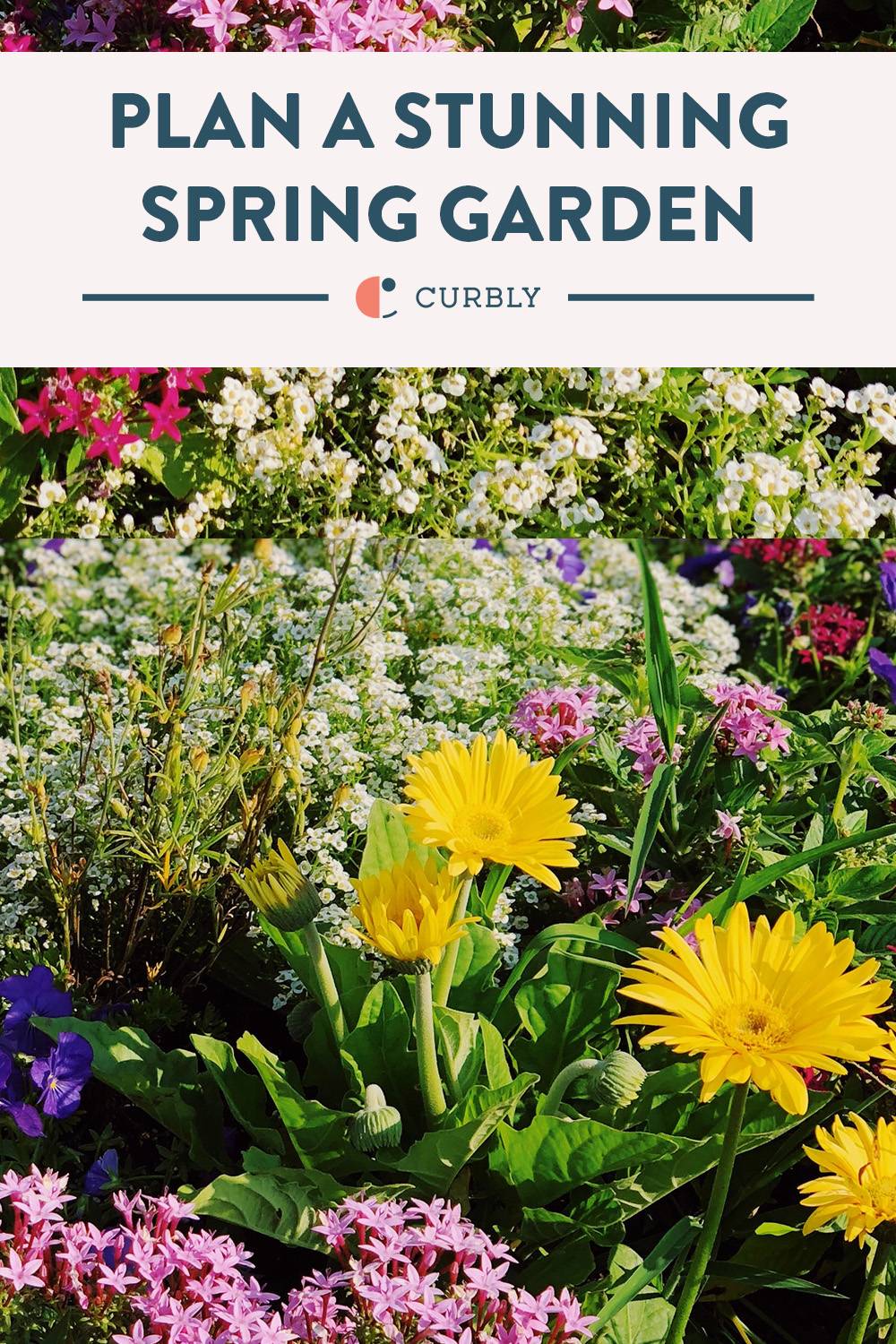 Your Guide To Planning A Stunning Spring Garden - Curbly