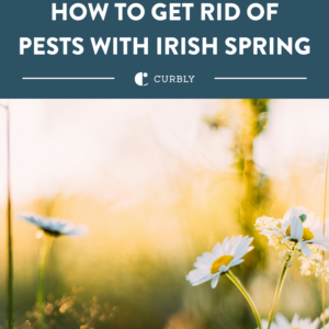 irish spring garden tips