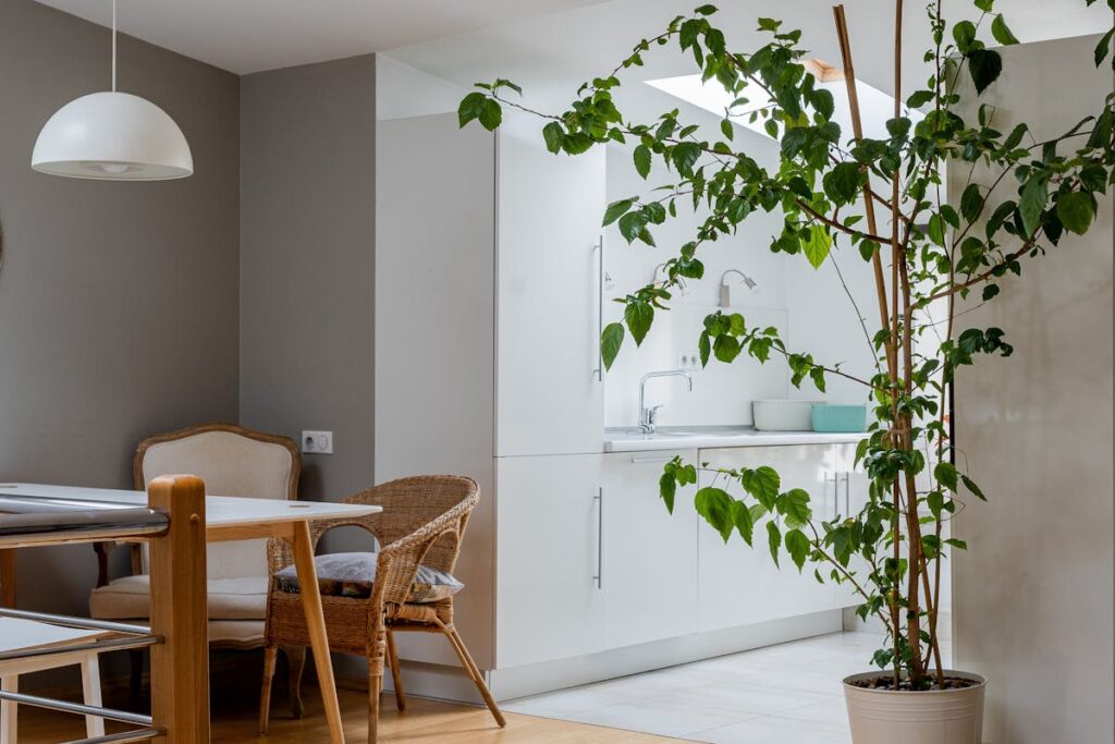 Bright kitchen with contemporary furniture and potted plant, exuding a serene natural feel.