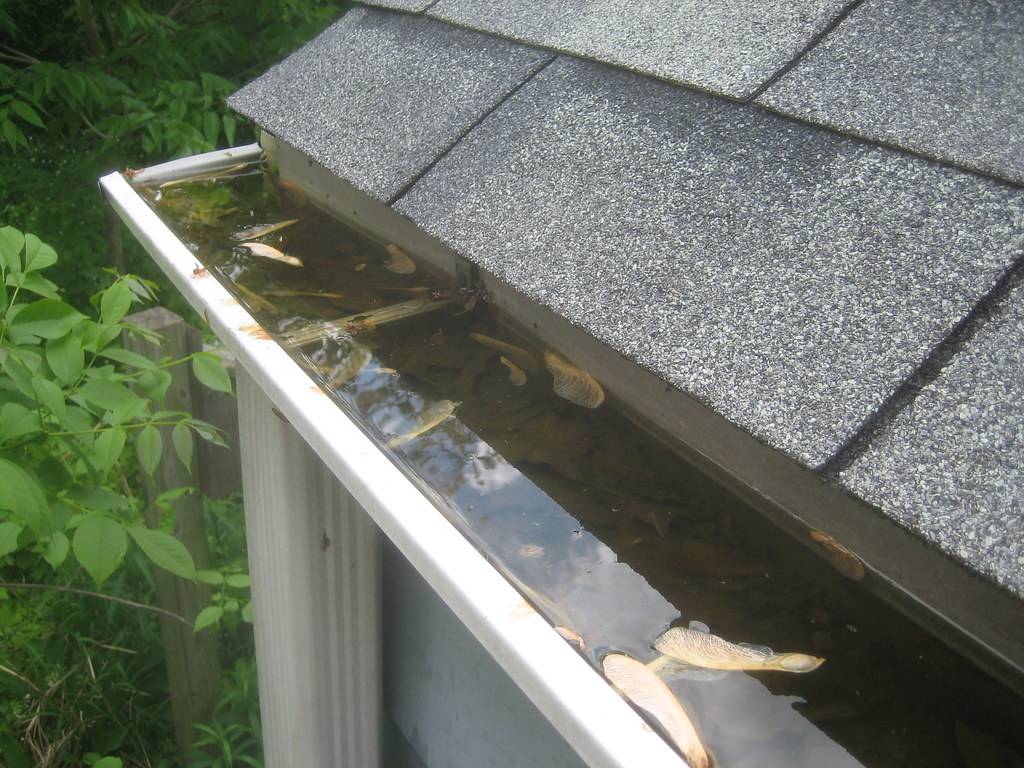 Cleaning clogs from home gutters